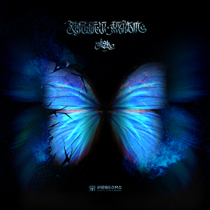 日本女人慢摇诱惑
